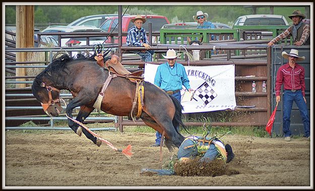 Have Some Dirt. Photo by Terry Allen.