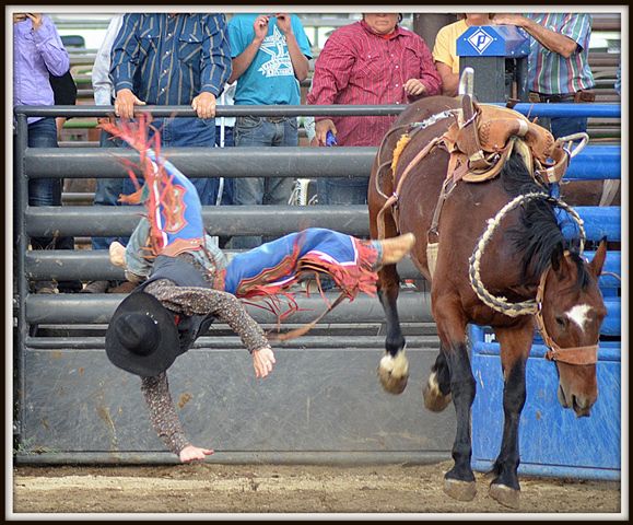 Trying to Land on All Four's. Photo by Terry Allen.