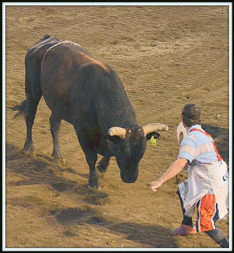 Hat on the Horns for $100. Photo by Terry Allen.