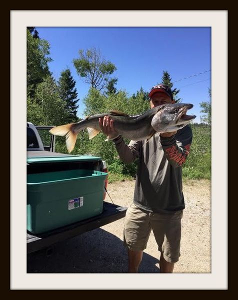 Corey Osenbaugh's Fish. Photo by Jack Osenbaugh.