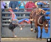 Trying to Land on All Four's. Photo by Terry Allen.