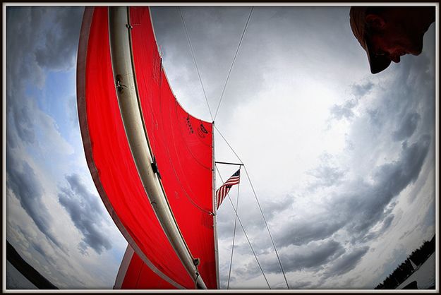 Looking Up. Photo by Terry Allen.