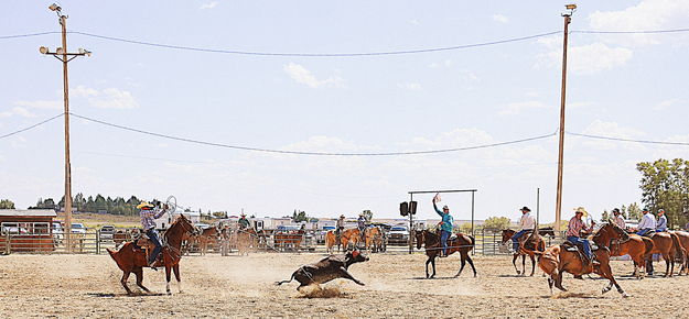 Full Points. Photo by Terry Allen.