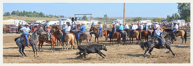 Roped Good. Photo by Terry Allen.