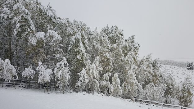 Kendall Valley snow. Photo by James Thomas.