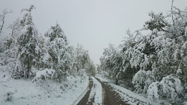 Boulder Basin Road. Photo by James Thomas.