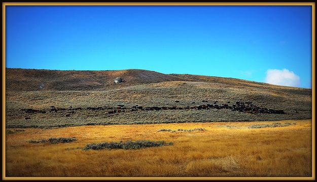 The Traverse South of New Fork Lake . Photo by Terry Allen.