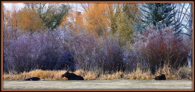 Mom and the kids. Photo by Terry Allen.