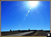 Heading South to the Home Ranches. Photo by Terry Allen.