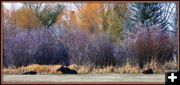 Mom and the kids. Photo by Terry Allen.