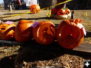 Carved Pumpkins. Photo by Dawn Ballou, Pinedale Online.