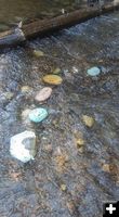 River rocks. Photo by Pinedale Rocks.