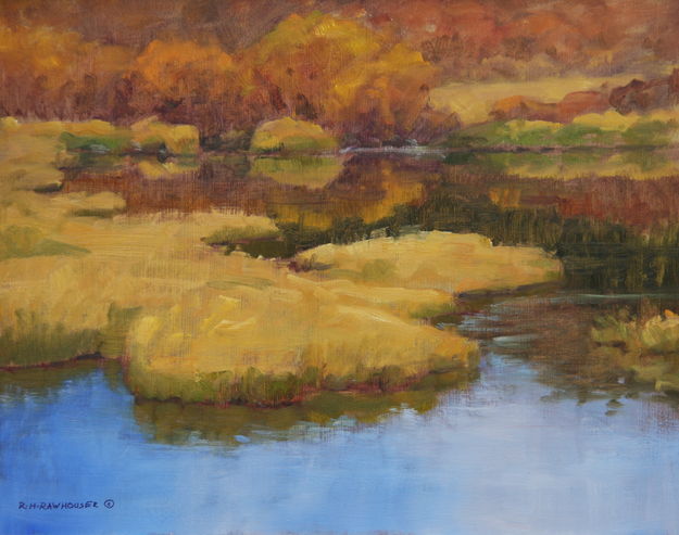 Beaver Pond Study. Photo by Ruth Rawhouser.