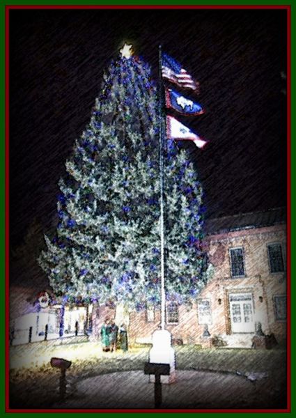 The Courthouse Tree. Photo by Terry Allen.