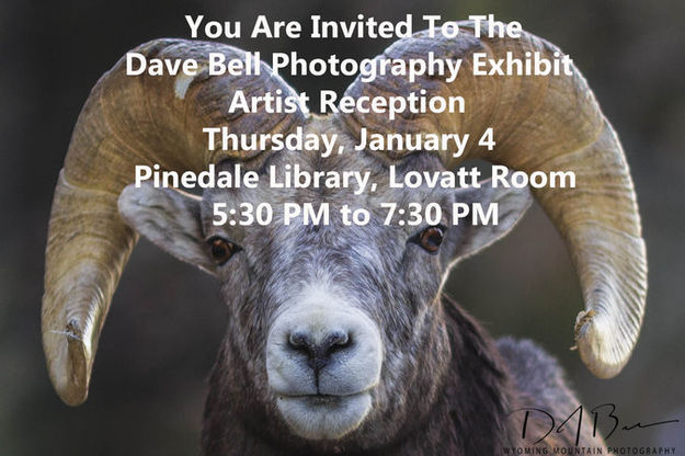 You're Invited!. Photo by Dave Bell.