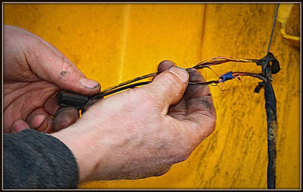 Bare Wires. Photo by Terry Allen.