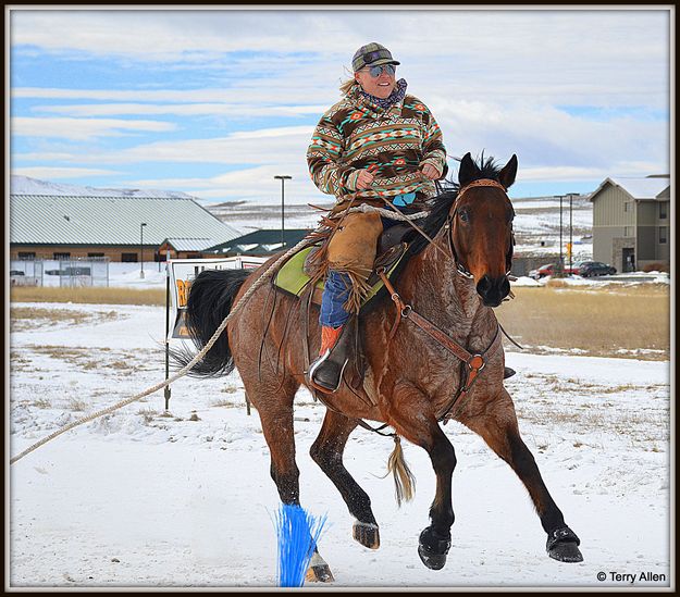 Fine Looking Horse. Photo by Terry Allen.