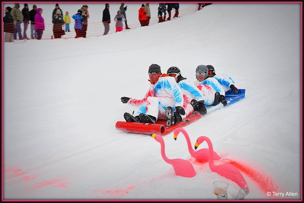 USA Bobsled. Photo by Terry Allen.