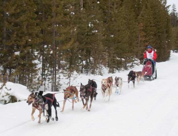 Pinedale race. Photo by Chris Havener.