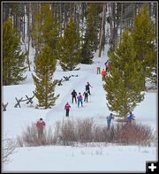 Uphill for the Long Course. Photo by Terry Allen.