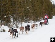 Pinedale race. Photo by Chris Havener.