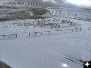 2018 spring pronghorn. Photo by Trappers Point Wildlife Overpass webcam.