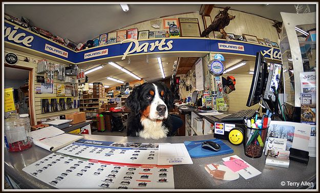 Dudley at Bucky's Outdoors. Photo by Terry Allen.