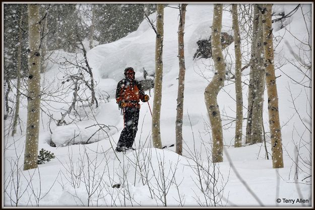 Nordic Skiing Spectator Above Blue Course. Photo by Terry Allen.