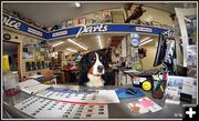 Dudley at Bucky's Outdoors. Photo by Terry Allen.