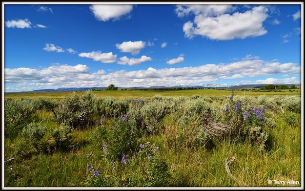 Northern View. Photo by Terry Allen.