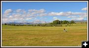 A Walk in the High Meadow. Photo by Terry Allen.