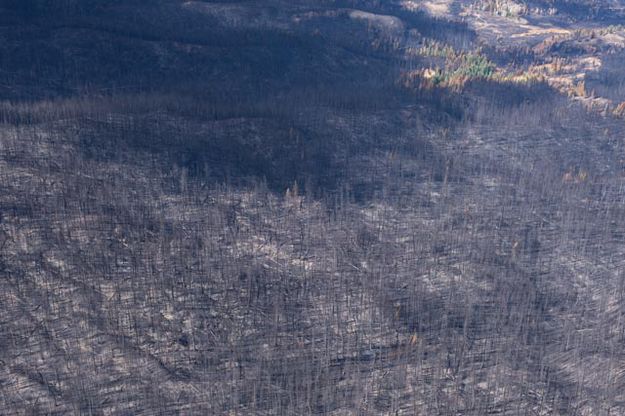 Roosevelt Fire. Photo by Rita Donham, Wyoming Aero Photo LLC.