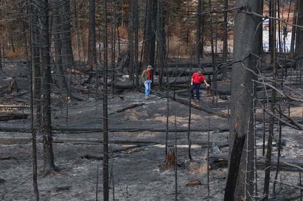 Checkiing the Roosevelt Fire area. Photo by Wyoming Game & Fish Department.