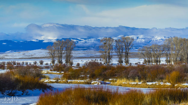 Frosty Green. Photo by Dave Bell.