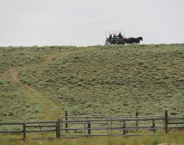 On top of the hill. Photo by Dawn Ballou, Pinedale Online.