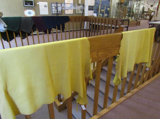 Tanned Deer Hides. Photo by Dawn Ballou, Pinedale Online.