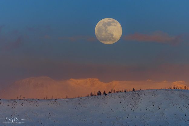 February Full Moon. Photo by Dave Bell.