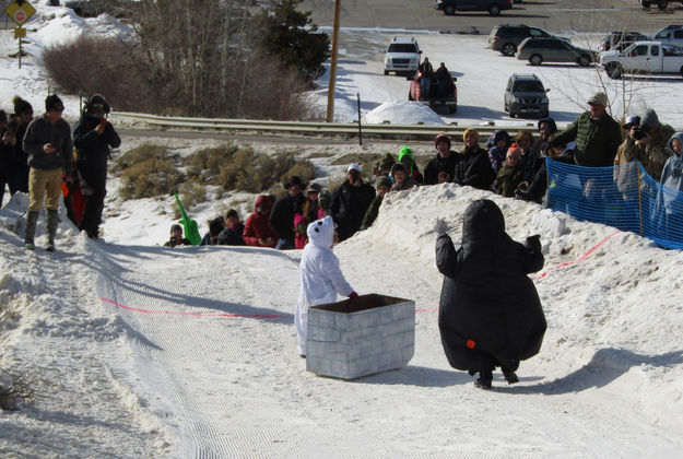 Waddling across the finish. Photo by Dawn Ballou, Pinedale Online.