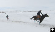 Going fast. Photo by Dawn Ballou, Pinedale Online.