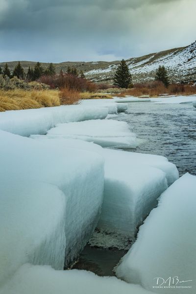 Chunky Ice. Photo by Dave Bell.