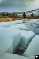 Chunky Ice. Photo by Dave Bell.