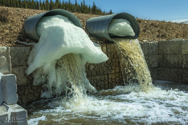 Bare Creek culverts. Photo by Dave Bell.