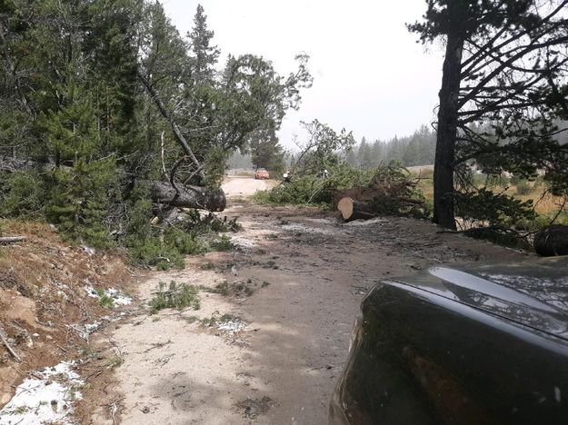 Opening the road. Photo by Big Sandy Lodge.