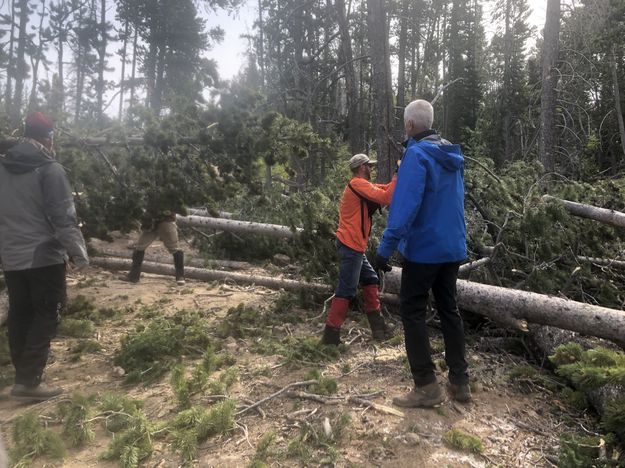 Clearing trails. Photo by Tip Top Search & Rescue.