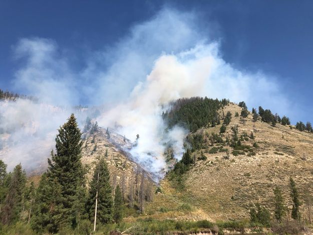 Shoal Creek Fire. Photo by Bridger-Teton National Forest.