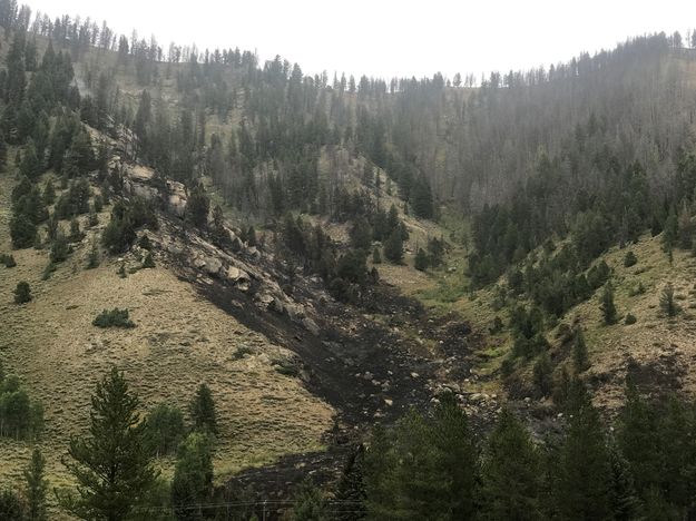 Shoal Creek Fire. Photo by Bill Winney.