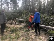 Clearing trails. Photo by Tip Top Search & Rescue.