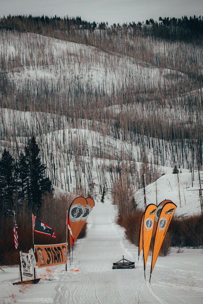 Start-Finish Line. Photo by Pedigree Sled Dog Race.