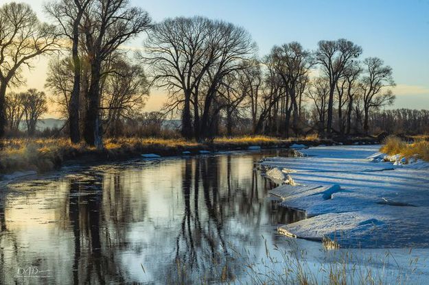 Spring along the Green River. Photo by Dave Bell.