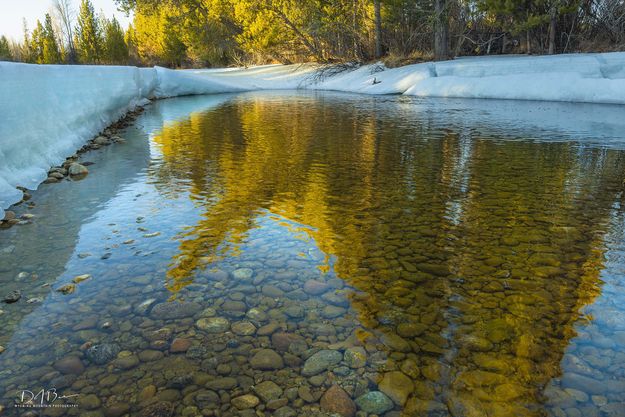 Along Pine Creek. Photo by Dave Bell.